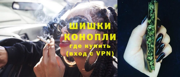 крисы Абаза