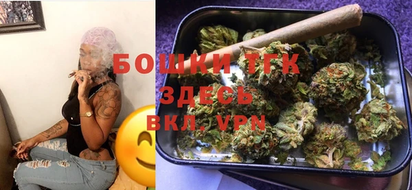 spice Алексин