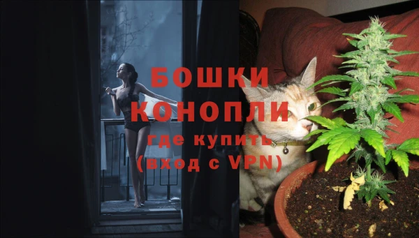 spice Алексин