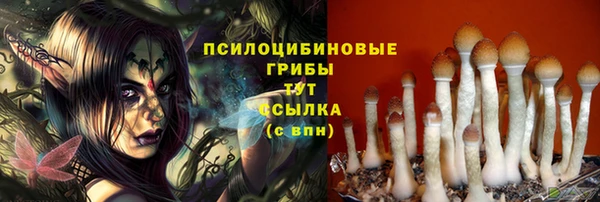 ECSTASY Абинск